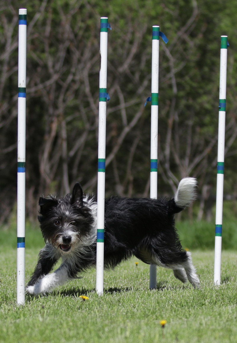 Stitch running poles